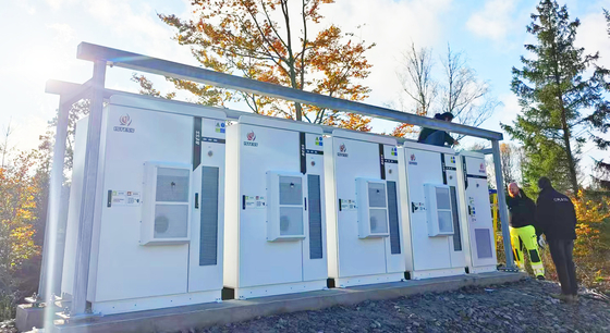 215Kwh コンテナ 太陽電池 リチウム電池 高電圧エネルギー貯蔵 産業および商業用用途